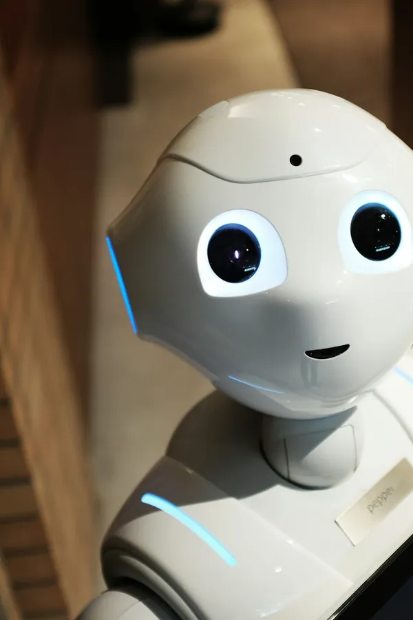 A robot with a camera head