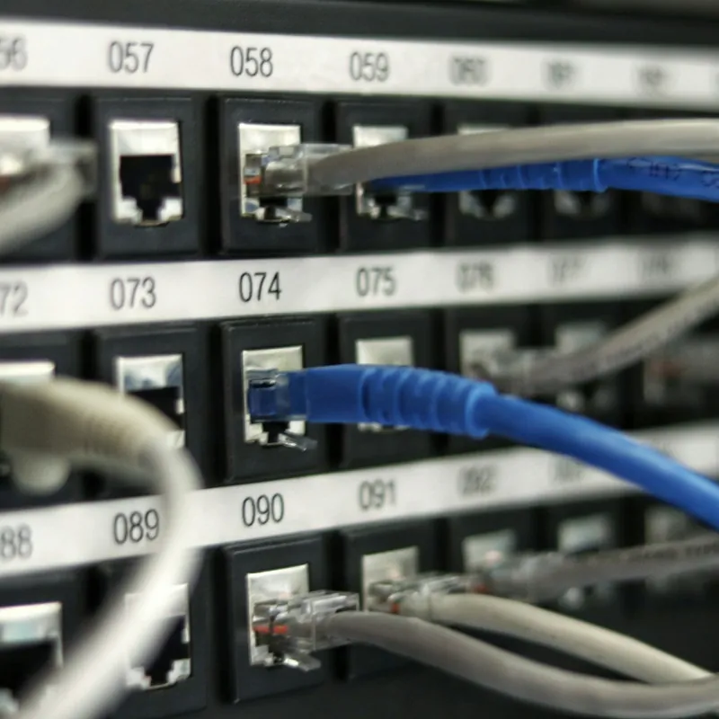 Network cables in a patch panel